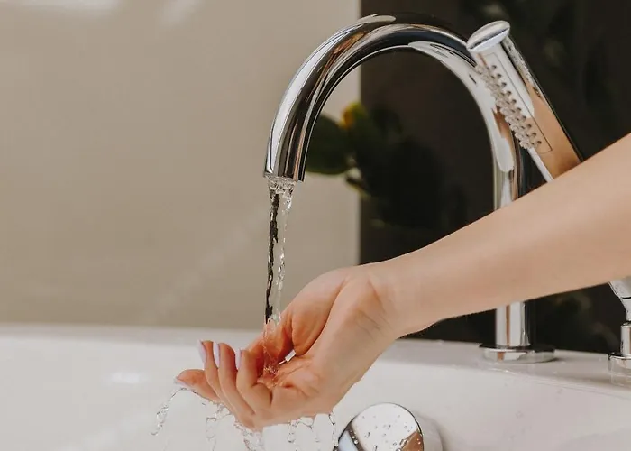 酒店 Timbre Virtudes 5*