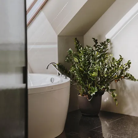 Timbre Virtudes Porto