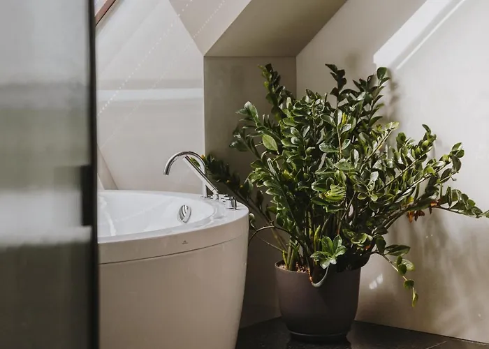 Timbre Virtudes 포르투